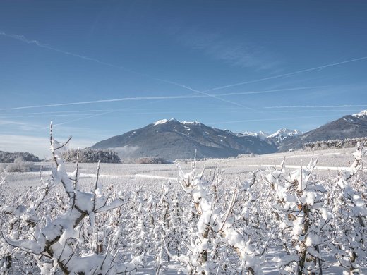 Urlaub in Natz-Schabs? Kessler’s Mountain Lodge! Schneebedeckte Obstgärten vor Bergkette unter klarem blauem Himmel