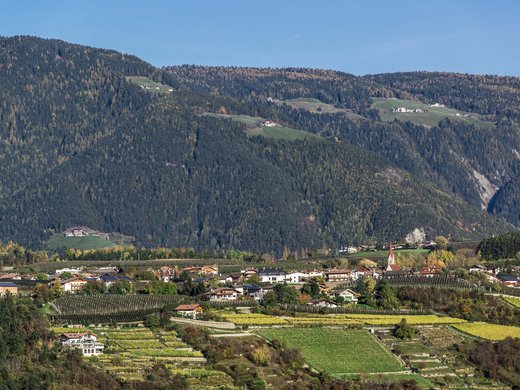 Urlaub in Natz-Schabs? Kessler’s Mountain Lodge! Dorf und Weinberge vor bewaldeten Bergen unter blauem Himmel